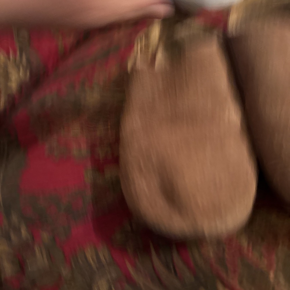 Reef Cushion Sage SE Shoes Womens Size 6 Brown Suede Clog Buckle Comfort